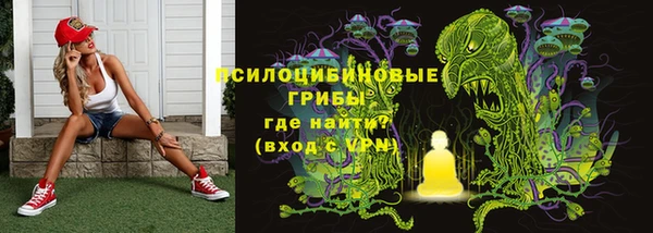 ешки Липки