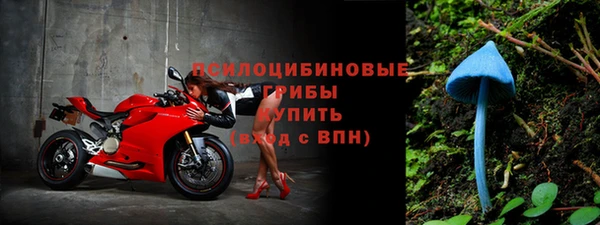 apvp Майский