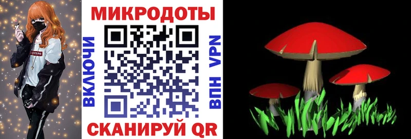 Галлюциногенные грибы GOLDEN TEACHER  купить наркоту  Брюховецкая 